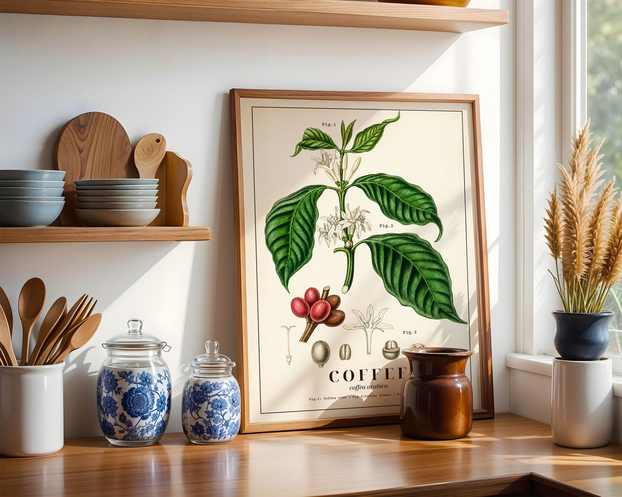 Vintage Coffea Arabica Botanik Baskısı | Bilimsel Kahve Duvar Sanatı