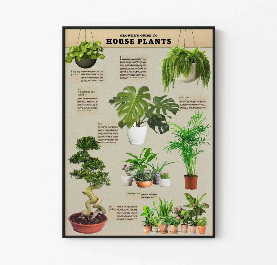 Growers Guide to House Plants - Bitki yetiştirme rehberi