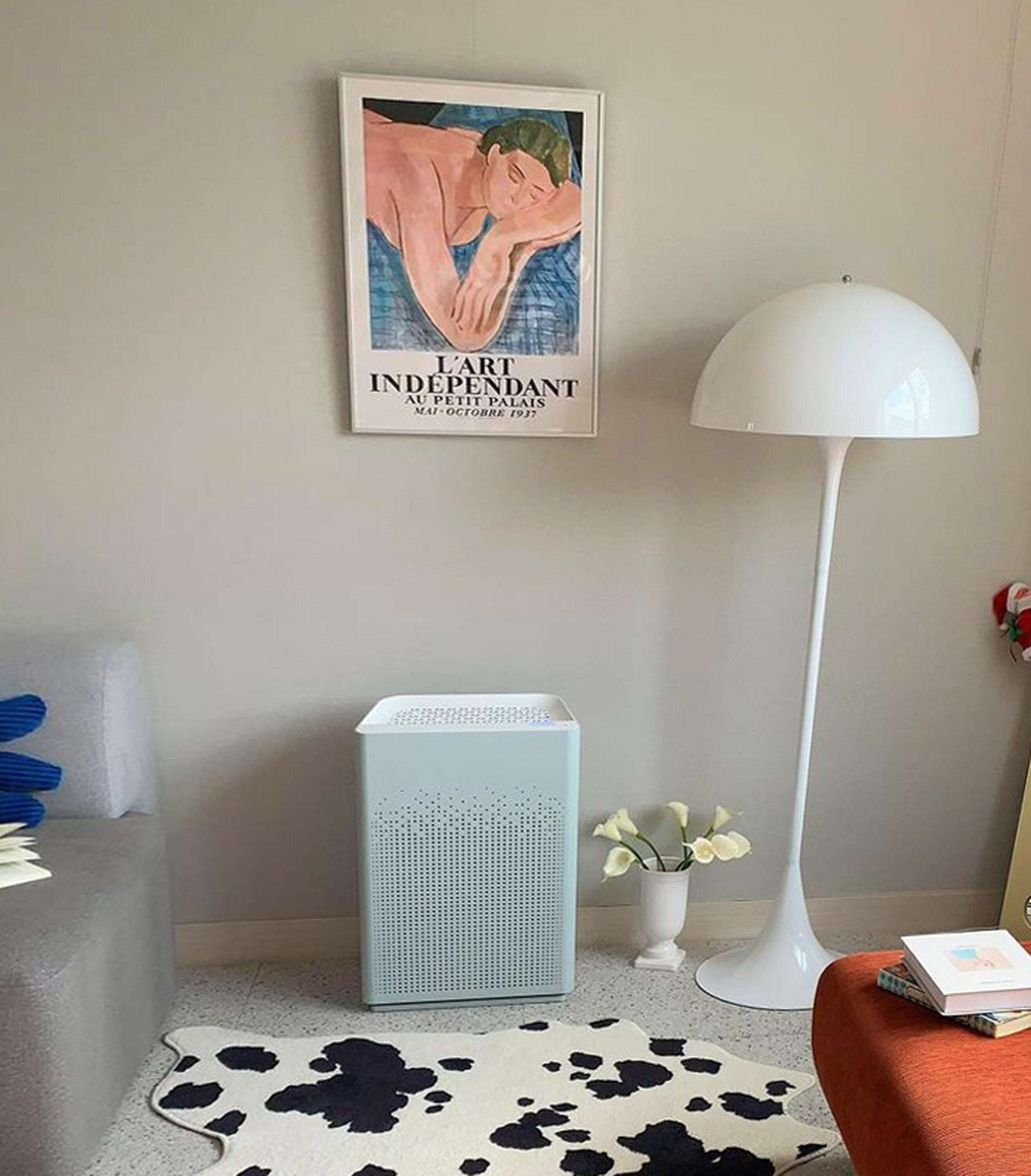 Henri Matisse L’Art Indépendant / Petit Palais - Sergi Posteri