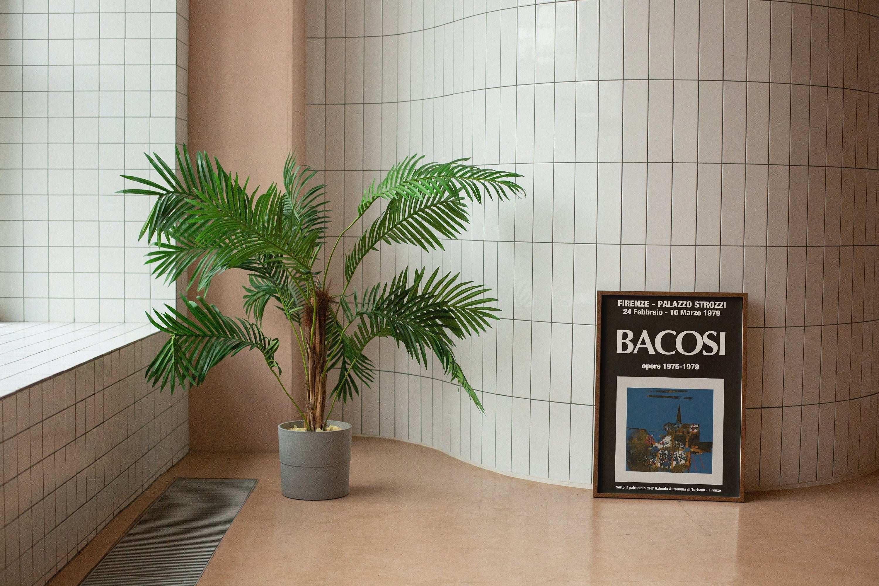 Manlio Bacosi - 1979 Firenze Poster