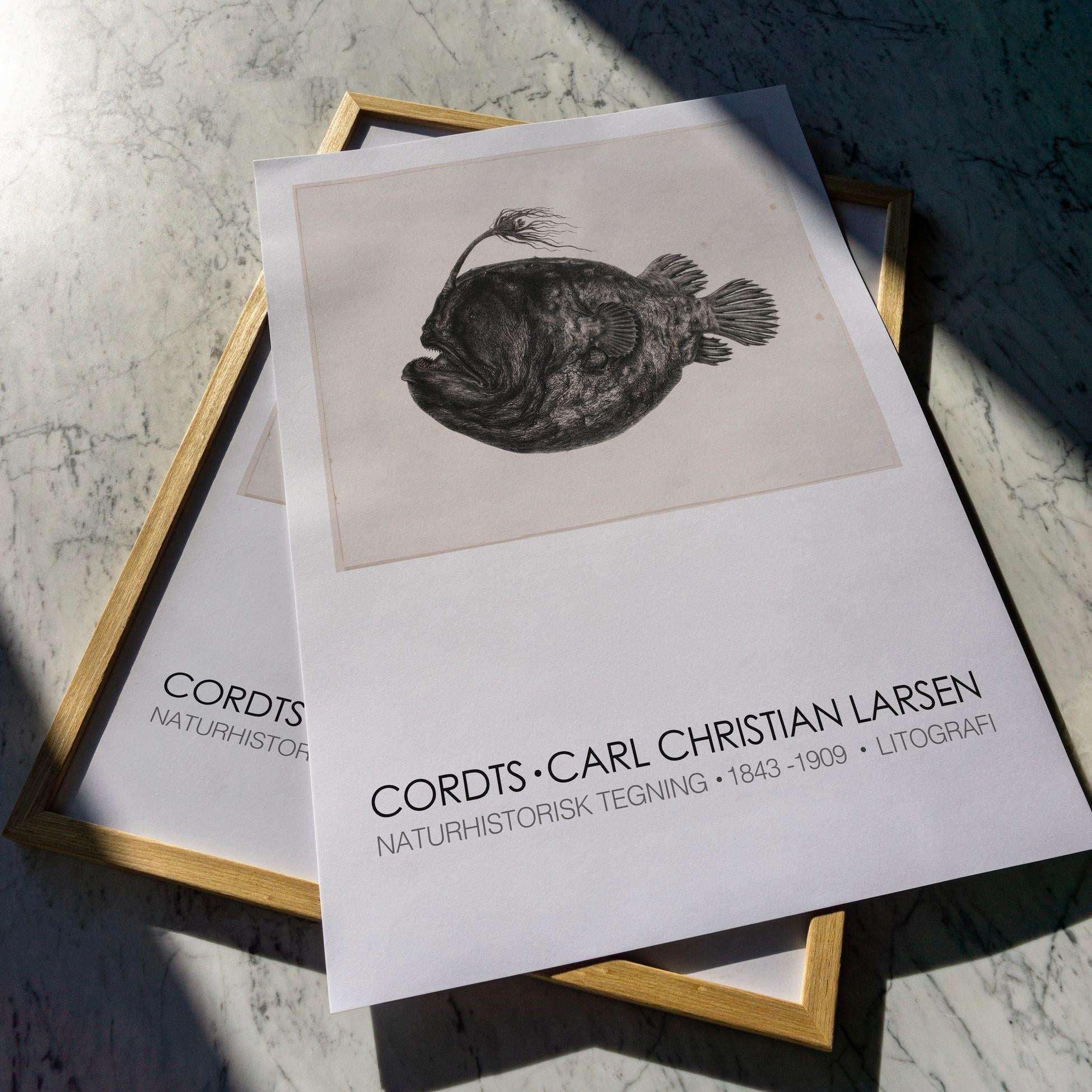 Larsen Exhibition Poster - Nordic Afiş