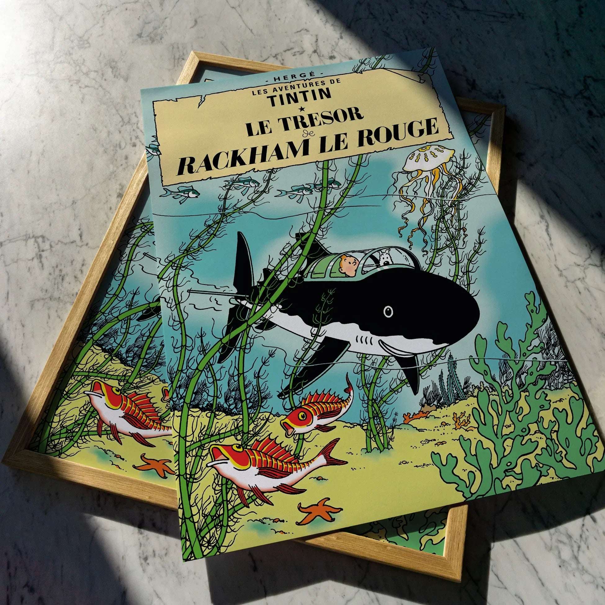 Tenten - Kızıl Korsan'ın Hazinesi / Red Rackham