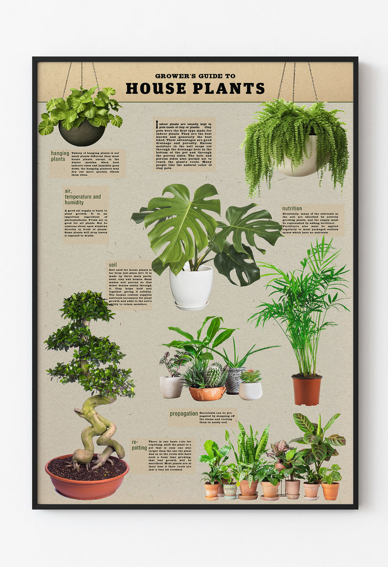 Grower’s Guide to House Plants – Vintage Bitki Rehberi Poster