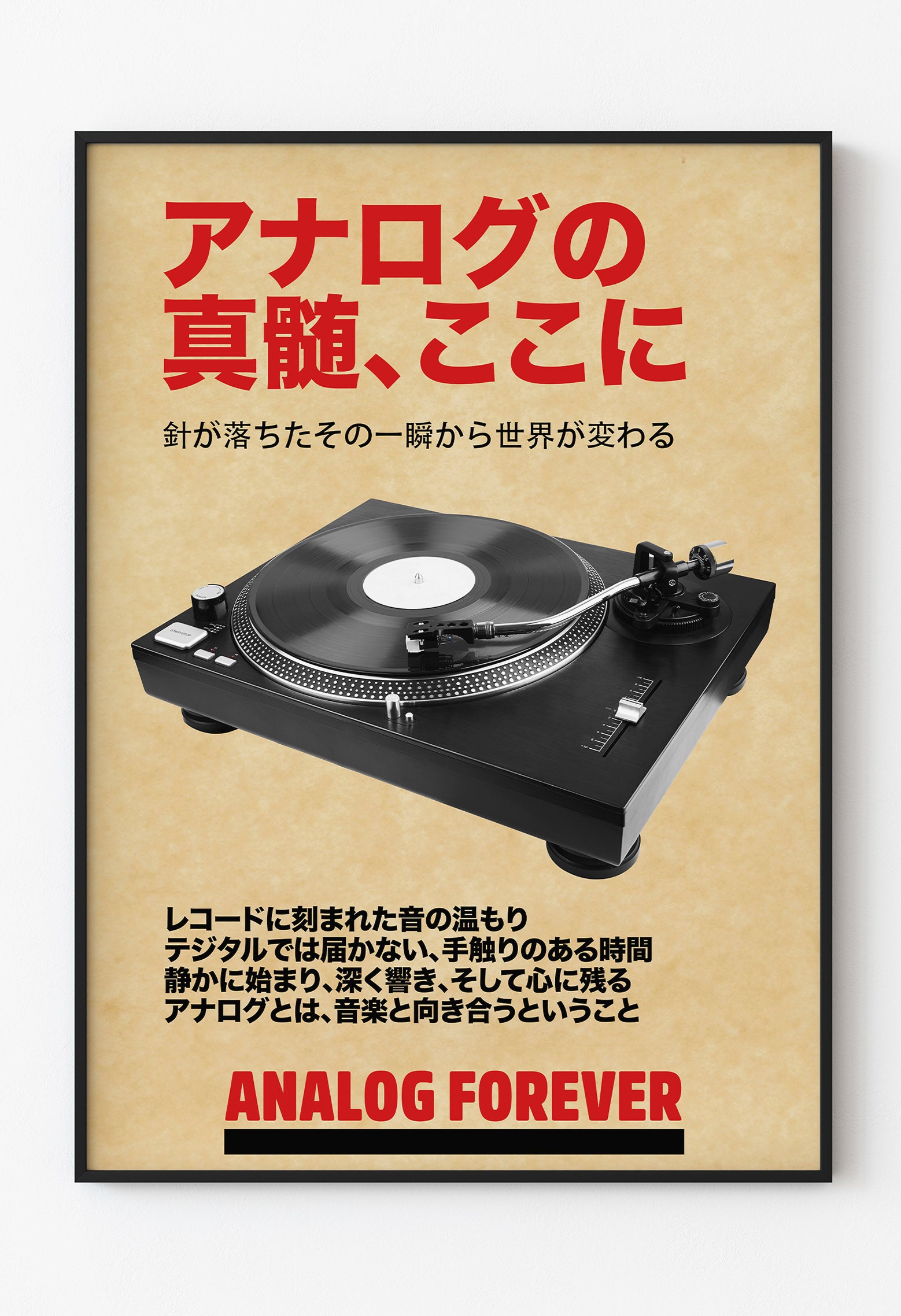 Pikapla Analog Müziğe Saygı Duruşu – Özel Tasarım Poster